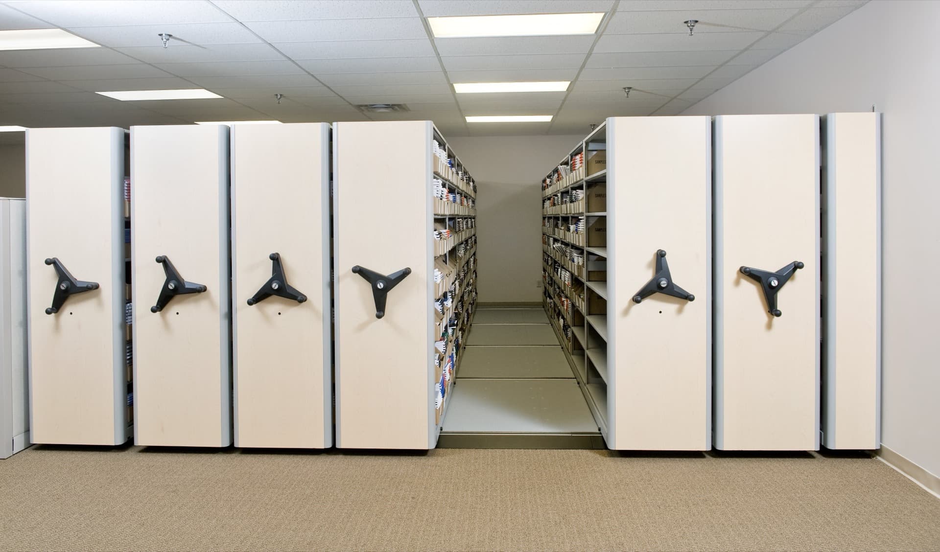 High-density vault storage with organized file folders